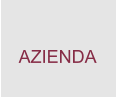 AZIENDA