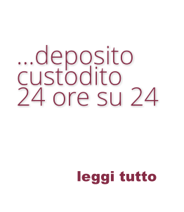 leggi tutto  …deposito  custodito  24 ore su 24